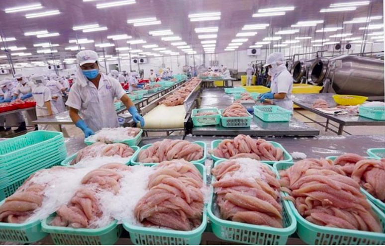 Nghiên cứu các nhân tố ảnh hưởng đến cấu trúc vốn của các công ty trong ngành Thủy sản niêm yết trên thị trường chứng khoán Việt Nam